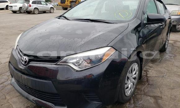 Acheter Neuf Voiture Toyota Corolla Marron à Abeokuta, État d'Ogun Acheter Neuf Voiture Toyota Corolla Marron à Abeokuta, État d'Ogun