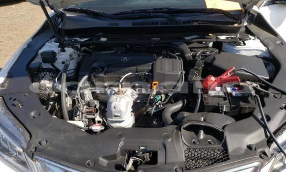 Acheter Neuf Voiture Acura TLX Blanc à Abeokuta, État d'Ogun Acheter Neuf Voiture Acura TLX Blanc à Abeokuta, État d'Ogun