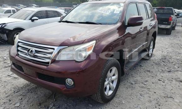 Acheter Neuf Voiture Lexus GX Rouge à Abeokuta, État d'Ogun Acheter Neuf Voiture Lexus GX Rouge à Abeokuta, État d'Ogun