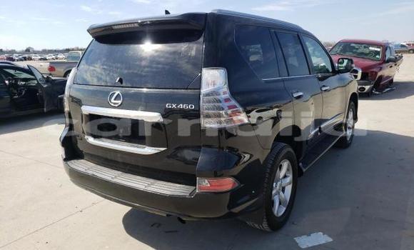Acheter Neuf Voiture Lexus GX Noir à Abeokuta, État d'Ogun Acheter Neuf Voiture Lexus GX Noir à Abeokuta, État d'Ogun