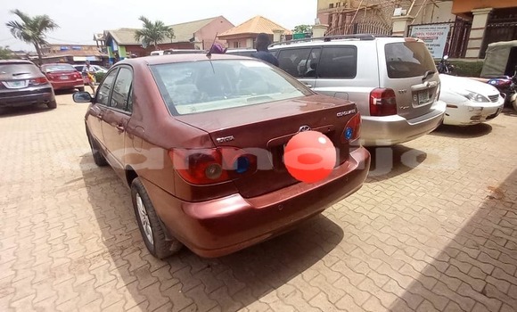 Acheter Occasion Voiture Toyota Corolla Rouge à Ikorodu, État de Lagos Acheter Occasion Voiture Toyota Corolla Rouge à Ikorodu, État de Lagos