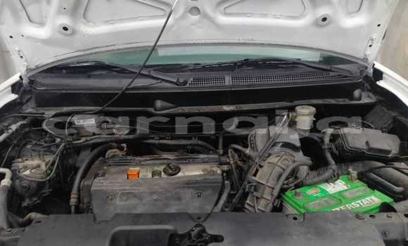 Acheter Occasion Voiture Honda Element Blanc à Lagos, État de Lagos Acheter Occasion Voiture Honda Element Blanc à Lagos, État de Lagos