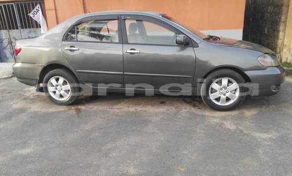 Buy Used Toyota Corolla Other Car in Lagos in Lagos State