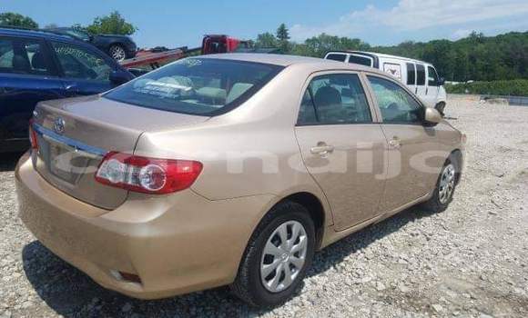 Buy Import Toyota Corolla Other Car in Daura in Katsina