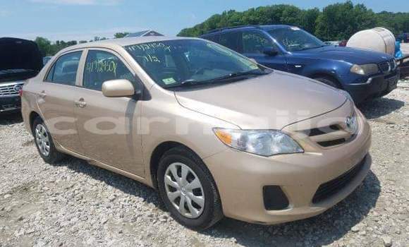 Buy Import Toyota Corolla Other Car in Daura in Katsina Buy Import Toyota Corolla Other Car in Daura in Katsina