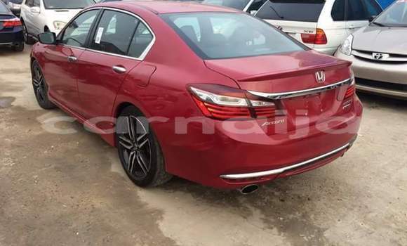 Acheter Import Voiture Honda Crosstour Rouge à Daura, Katsina