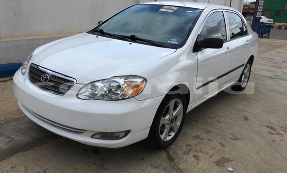 Acheter Import Voiture Toyota Corolla Blanc à Daura, Katsina Acheter Import Voiture Toyota Corolla Blanc à Daura, Katsina