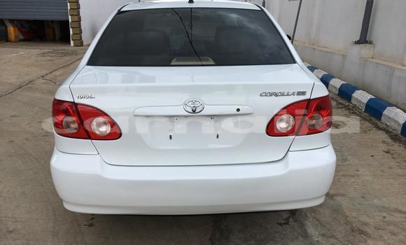 Buy Import Toyota Corolla White Car in Daura in Katsina Buy Import Toyota Corolla White Car in Daura in Katsina