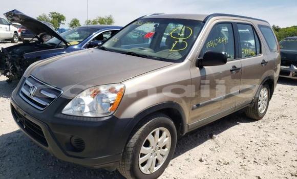 Buy New Honda CR–V Other Car in Abeokuta in Ogun State Buy New Honda CR–V Other Car in Abeokuta in Ogun State