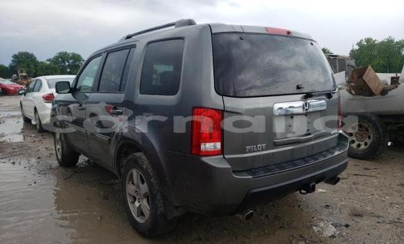 Acheter Neuf Voiture Honda Pilot Marron à Abeokuta, État d'Ogun Acheter Neuf Voiture Honda Pilot Marron à Abeokuta, État d'Ogun