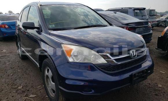 Buy New Honda CR–V Blue Car in Abeokuta in Ogun State