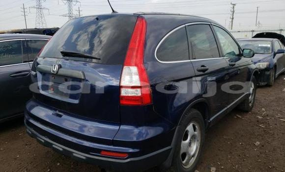 Acheter Neuf Voiture Honda CR–V Bleu à Abeokuta, État d'Ogun Acheter Neuf Voiture Honda CR–V Bleu à Abeokuta, État d'Ogun