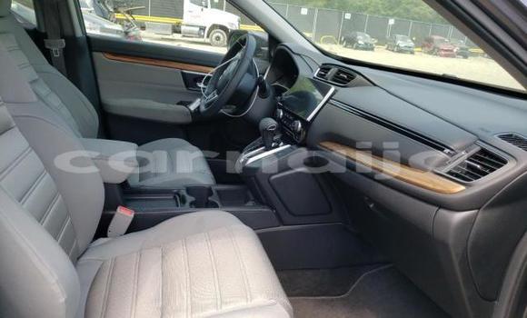 Acheter Neuf Voiture Honda CR–V Marron à Abeokuta, État d'Ogun Acheter Neuf Voiture Honda CR–V Marron à Abeokuta, État d'Ogun