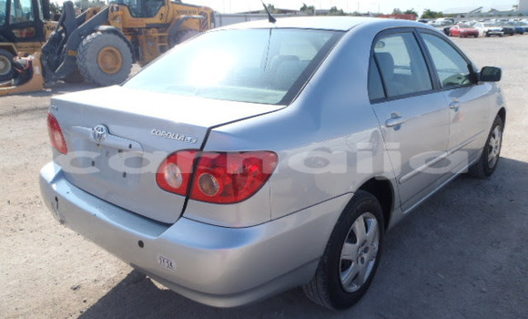 Acheter Import Voiture Toyota Corolla Gris à Abaji, Territoire de la capitale fédérale Acheter Import Voiture Toyota Corolla Gris à Abaji, Territoire de la capitale fédérale