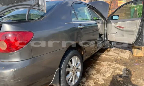 Buy New Toyota Corolla Silver Car in Lagos in Lagos State