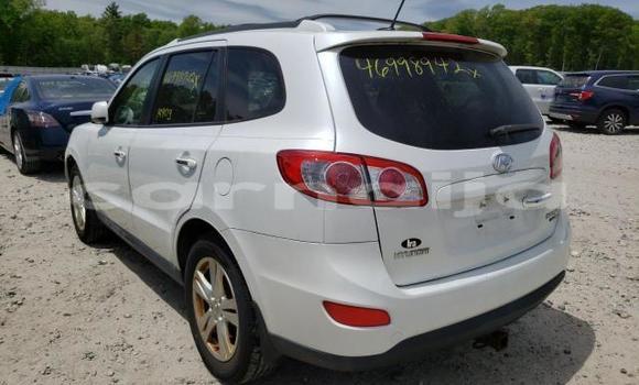 Acheter Neuf Voiture Hyundai Santa Fe Blanc à Abeokuta, État d'Ogun Acheter Neuf Voiture Hyundai Santa Fe Blanc à Abeokuta, État d'Ogun
