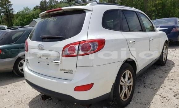 Acheter Neuf Voiture Hyundai Santa Fe Blanc à Abeokuta, État d'Ogun Acheter Neuf Voiture Hyundai Santa Fe Blanc à Abeokuta, État d'Ogun