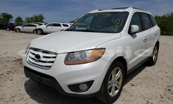 Acheter Neuf Voiture Hyundai Santa Fe Blanc à Abeokuta, État d'Ogun Acheter Neuf Voiture Hyundai Santa Fe Blanc à Abeokuta, État d'Ogun