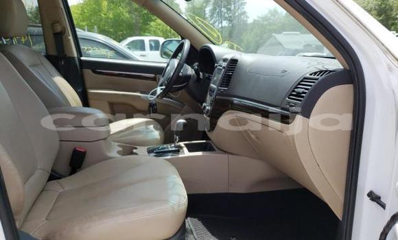 Acheter Neuf Voiture Hyundai Santa Fe Blanc à Abeokuta, État d'Ogun Acheter Neuf Voiture Hyundai Santa Fe Blanc à Abeokuta, État d'Ogun