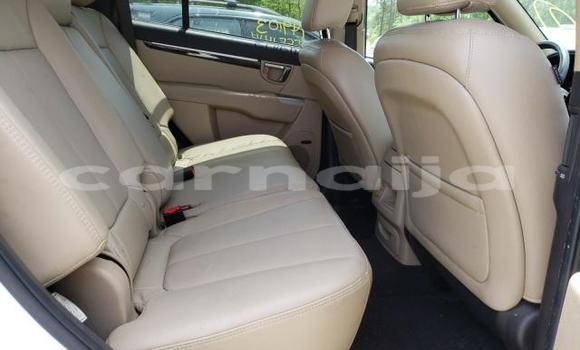 Acheter Neuf Voiture Hyundai Santa Fe Blanc à Abeokuta, État d'Ogun Acheter Neuf Voiture Hyundai Santa Fe Blanc à Abeokuta, État d'Ogun