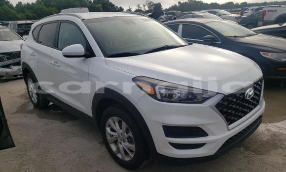 Acheter Neuf Voiture Hyundai Tucson Blanc à Abeokuta, État d'Ogun Acheter Neuf Voiture Hyundai Tucson Blanc à Abeokuta, État d'Ogun