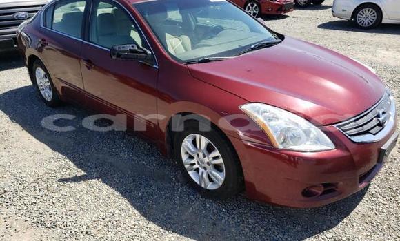 Buy New Nissan Altima Red Car in Abeokuta in Ogun State Buy New Nissan Altima Red Car in Abeokuta in Ogun State