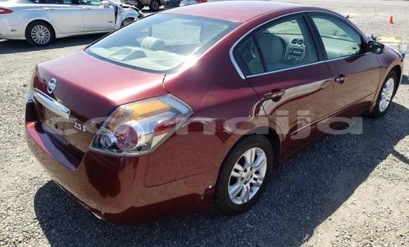 Acheter Neuf Voiture Nissan Altima Rouge à Abeokuta, État d'Ogun Acheter Neuf Voiture Nissan Altima Rouge à Abeokuta, État d'Ogun