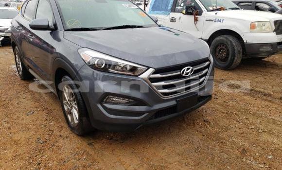 Buy Used Hyundai Tucson Other Car in Lagos in Lagos State