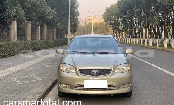 Acheter Occasion Voiture Toyota Vios Gris à Lagos, État de Lagos Acheter Occasion Voiture Toyota Vios Gris à Lagos, État de Lagos