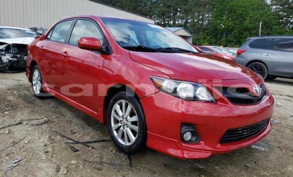 Buy Used Toyota Corolla Red Car in Akamkpa in Cross River State Buy Used Toyota Corolla Red Car in Akamkpa in Cross River State
