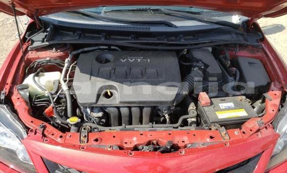 Acheter Occasion Voiture Toyota Corolla Rouge à Akamkpa, État de Cross River Acheter Occasion Voiture Toyota Corolla Rouge à Akamkpa, État de Cross River