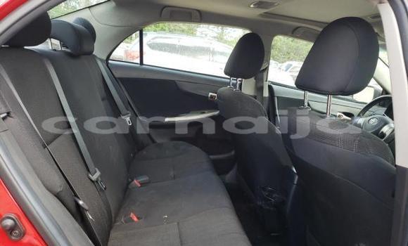 Acheter Occasion Voiture Toyota Corolla Rouge à Akamkpa, État de Cross River Acheter Occasion Voiture Toyota Corolla Rouge à Akamkpa, État de Cross River