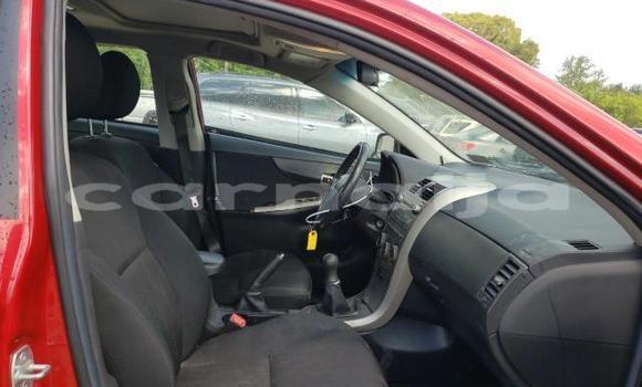 Acheter Occasion Voiture Toyota Corolla Rouge à Akamkpa, État de Cross River Acheter Occasion Voiture Toyota Corolla Rouge à Akamkpa, État de Cross River