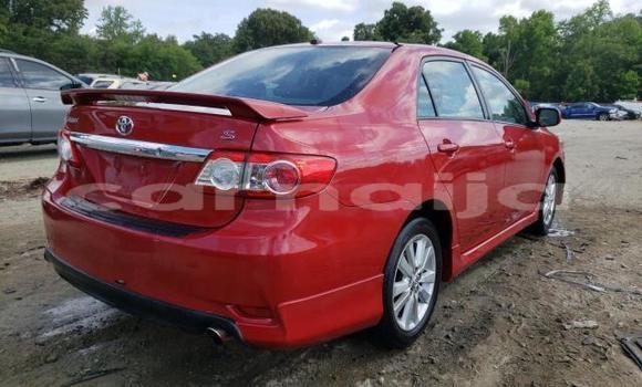 Acheter Occasion Voiture Toyota Corolla Rouge à Akamkpa, État de Cross River Acheter Occasion Voiture Toyota Corolla Rouge à Akamkpa, État de Cross River