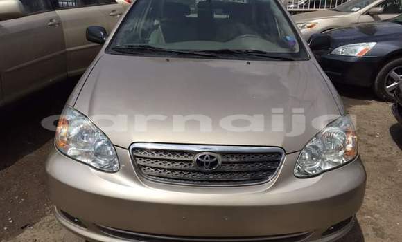 Buy Used Toyota Corolla Other Car in Lagos in Lagos State