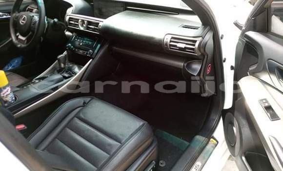 Buy Used Lexus IS White Car in Enugu–Ezike in Enugu State Buy Used Lexus IS White Car in Enugu–Ezike in Enugu State
