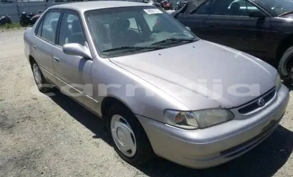 Buy New Toyota Corolla Silver Car in Ibadan in Oyo State