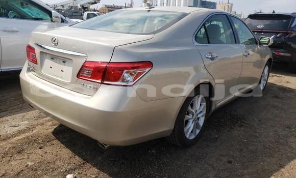 Acheter Neuf Voiture Lexus RX 350 Gris à Akwanga, État de Nasarawa Acheter Neuf Voiture Lexus RX 350 Gris à Akwanga, État de Nasarawa