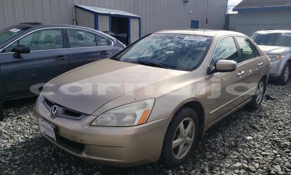 Acheter Neuf Voiture Honda Accord Marron à Argungu, Kebbi Acheter Neuf Voiture Honda Accord Marron à Argungu, Kebbi