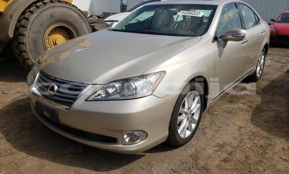 Buy New Lexus RX 350 Silver Car in Umuahia in Abia State