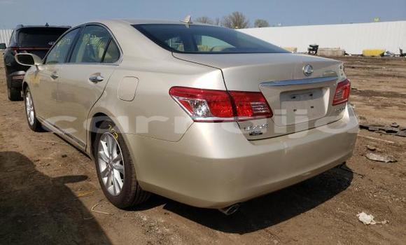 Acheter Neuf Voiture Lexus RX 350 Blanc à Benin City, Edo Acheter Neuf Voiture Lexus RX 350 Blanc à Benin City, Edo