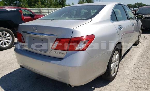 Acheter Neuf Voiture Lexus RX 350 Blanc à Benin City, Edo Acheter Neuf Voiture Lexus RX 350 Blanc à Benin City, Edo