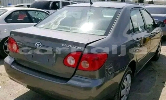 Acheter Neuf Voiture Toyota Corolla Autre à Kano, État de Kano Acheter Neuf Voiture Toyota Corolla Autre à Kano, État de Kano