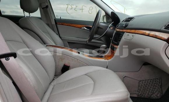 Acheter Import Voiture Mercedes-Benz E–Class Blanc à Daura, Katsina Acheter Import Voiture Mercedes-Benz E–Class Blanc à Daura, Katsina