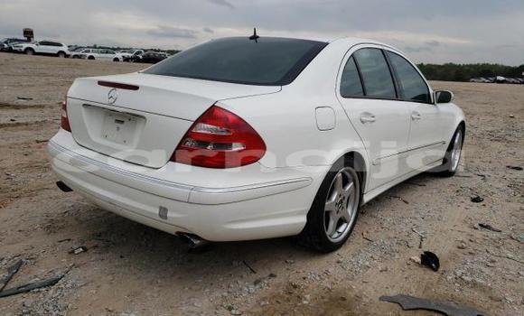 Acheter Import Voiture Mercedes-Benz E–Class Blanc à Daura, Katsina Acheter Import Voiture Mercedes-Benz E–Class Blanc à Daura, Katsina