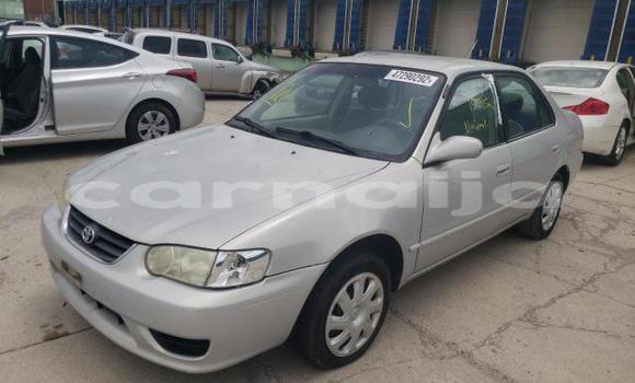 Buy New Honda Accord Brown Car in Abakaliki in Ebonyi State Buy New Honda Accord Brown Car in Abakaliki in Ebonyi State