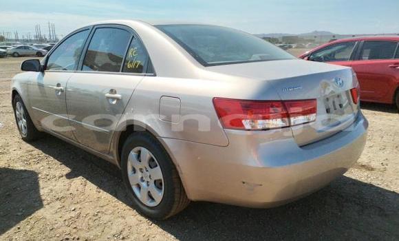Buy New Honda Accord Brown Car in Abakaliki in Ebonyi State Buy New Honda Accord Brown Car in Abakaliki in Ebonyi State