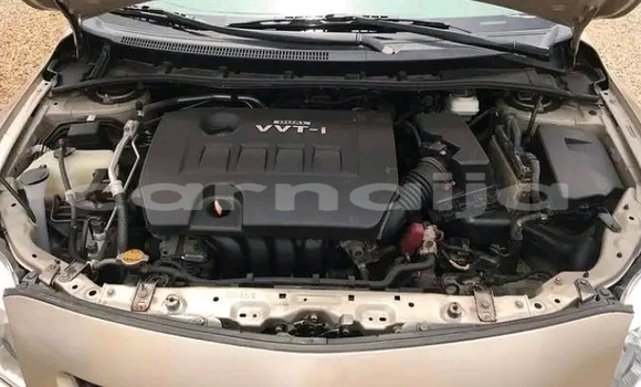 Buy Used Toyota Corolla Brown Car in Lagos in Lagos State Buy Used Toyota Corolla Brown Car in Lagos in Lagos State