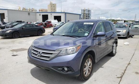 Buy New Honda CR–V Black Car in Badagry in Lagos State Buy New Honda CR–V Black Car in Badagry in Lagos State