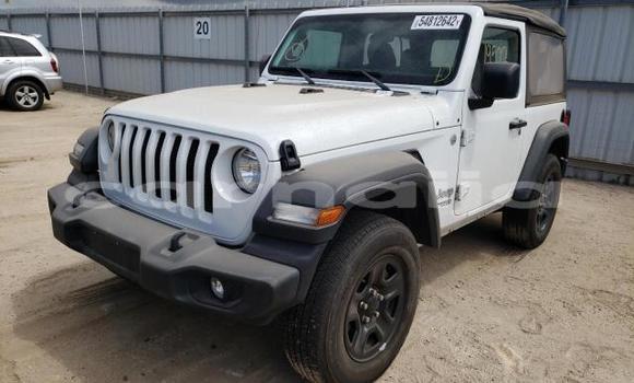 Acheter Neuf Voiture Jeep Wrangler Blanc à Badagry, État de Lagos Acheter Neuf Voiture Jeep Wrangler Blanc à Badagry, État de Lagos
